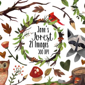 Aquarel natuur clipart - bosdieren en planten downloaden - direct downloaden - schattige aquarel natuur