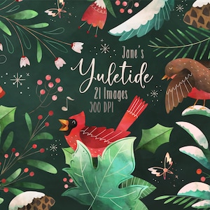Aquarelle Noël Clipart - Noël clipart - téléchargement immédiat - houx - pin - hiver clipart - cardinal - oiseaux - houx - neige