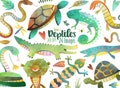 Watercolor Reptiles Clipart - Reptile Download - Instant Download - Chameleon - Lizard - Skink - Snake - Alligator - Turtle - Gecko