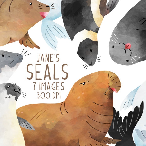 Watercolor Seals Clipart - Seal Species Download - Instant Download - Marine Animals - Seal Pup - Harp Seal - Elephant Seal