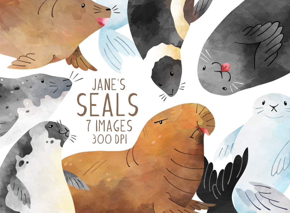 Seal Animal - Etsy Seal Animal - Etsy