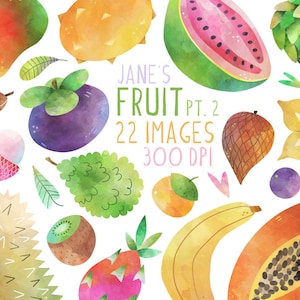 Aquarell Früchte Clipart - Tropica Früchte Download - Sofort Download - Exotische Früchte - Durian - Banane - Kiwi - Tamarinde - Mango
