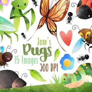 Watercolor Bugs Clipart - Garden Critters Download - Instant Download - Watercolor Cute Hornet, Bee, Beetle, Butterfly, and more!