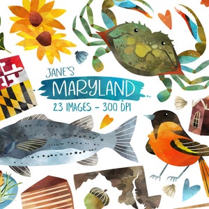 Clipart de acuarela de Maryland - Descarga del estado de Maryland - Descarga instantánea - Cangrejo azul - Bandera - Hoja de roble blanco - Pasteles de cangrejo - ¡y más!