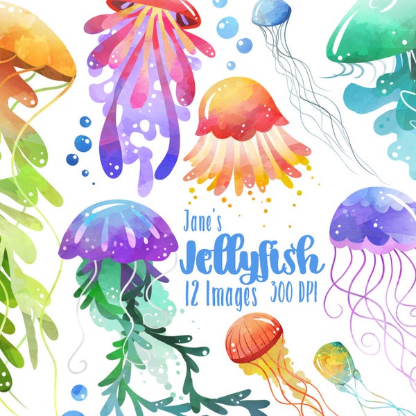 Watercolor Jellyfish Clipart - Jellyfish Download - Instant Download - Sea Creatures - Marine Life - Bubbles - Commercial Use
