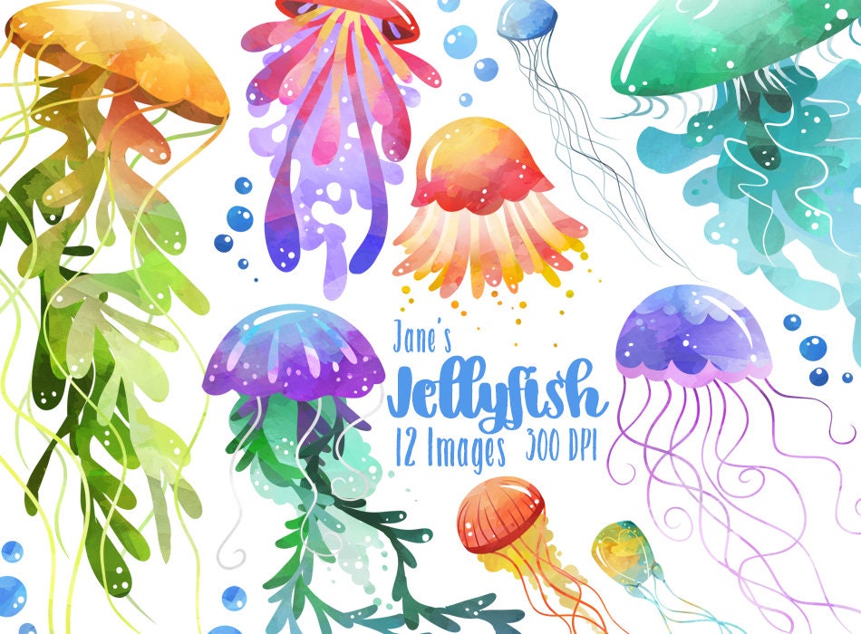 Watercolor Jellyfish Clipart - Jellyfish Download - Instant Download - Sea Creatures - Marine Life - Bubbles - Commercial Use