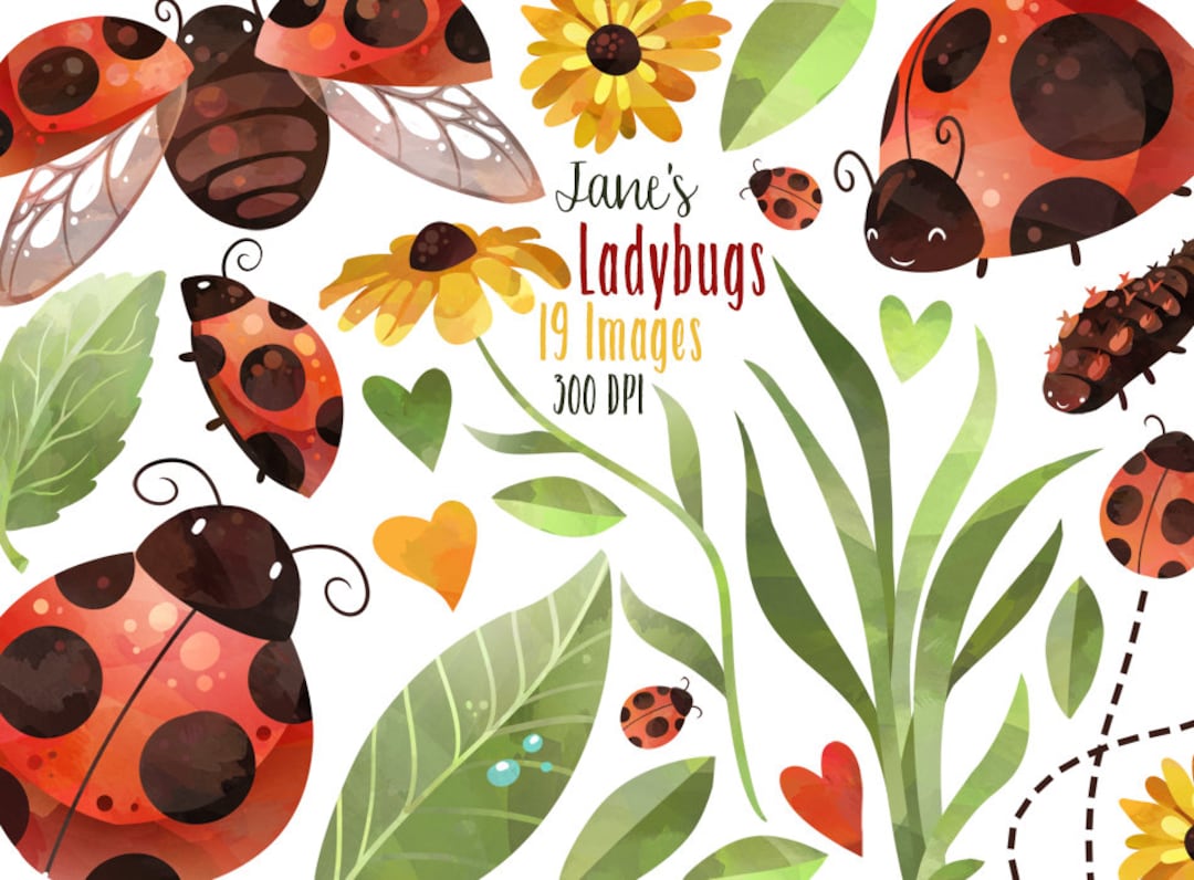 Buy Watercolor Ladybugs Clipart: Flowers and Leaves (digital Download)  Online in India - Etsy, image size:1080x796