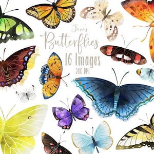 Clipart de borboletas em aquarela - Download de lepidópteros - Download instantâneo - Borboletas americanas - Espécies - Ilustração - Uso comercial