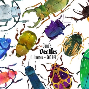 Watercolor Beetles Clipart - Bug Download - Instant Download - Insects - Bug Catching -  Beetles - Entomology - Commercial Use