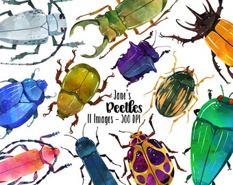 Watercolor Beetles Clipart - Bug Download - Instant Download - Insects - Bug Catching -  Beetles - Entomology - Commercial Use