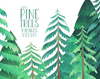 Watercolor Pine Trees Clipart - Watercolor Forest Download - Instant Download - Cute Conifers - Christmas Tree - Christmas Clipart