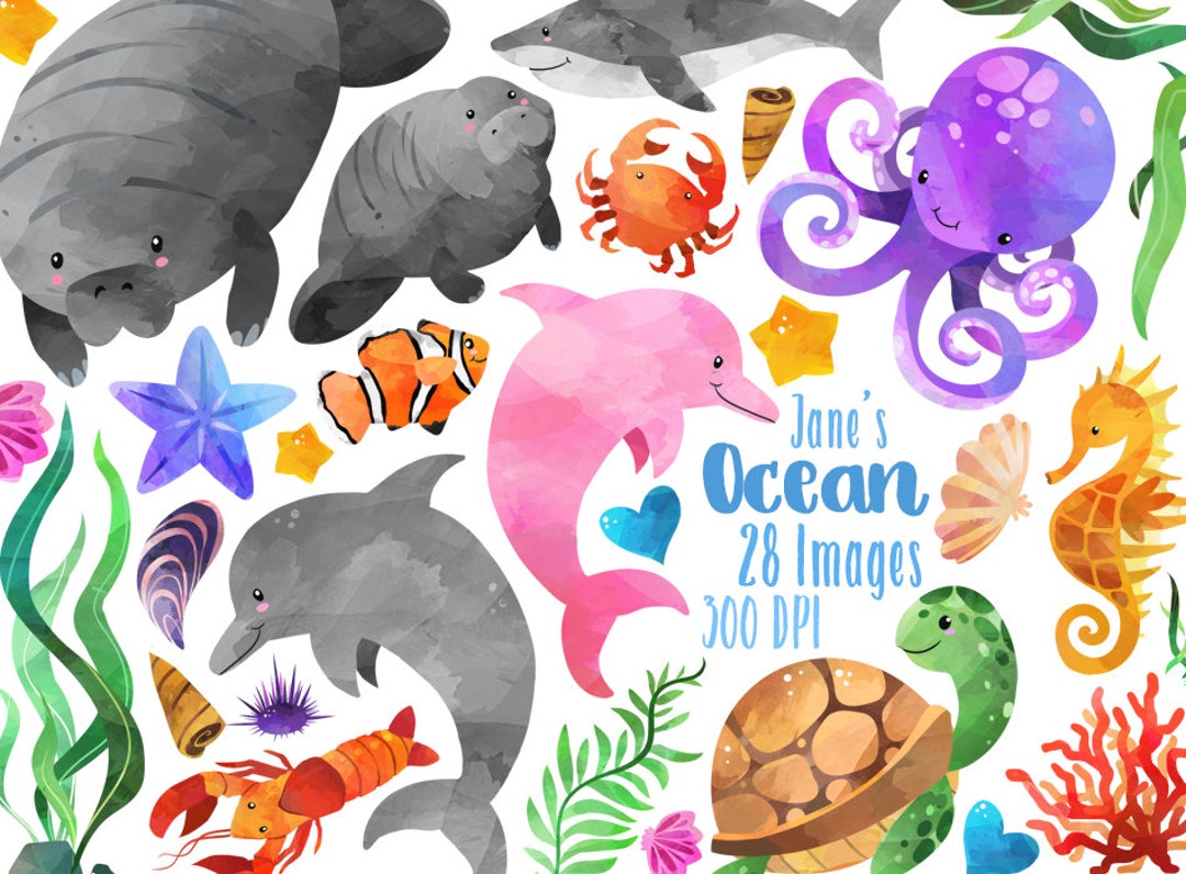 Watercolor Ocean Animals Clipart - Sea Creatures - Instant Download -  Manatee - Shark - Dolphin - Crab - Human Made - Etsy, image size:1080x796