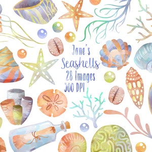 Imágenes prediseñadas de conchas marinas en acuarela - Descarga de coral - Descarga instantánea - Almeja - Caracol marino - Estrella de mar - Algas - Mensaje en una botella