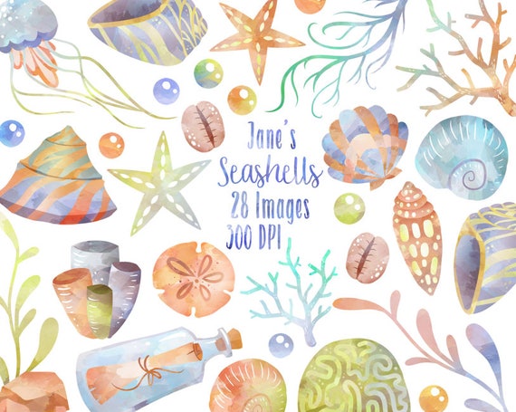 Watercolor seashells, corals and seaweed clipart set