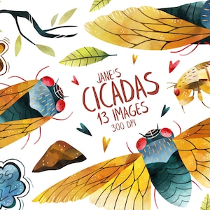 Clipart de cigarra en acuarela - Descarga de insectos - Descarga instantánea - Ciclo de vida de la cigarra - Insectos - Arte educativo - Cigarras - Dibujo a mano
