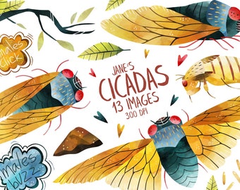 Pode incluir: Um conjunto de ilustrações digitais de 13 cigarras em aquarela em várias poses. As cigarras são representadas em tons de amarelo, azul e verde com olhos vermelhos. O texto "JANE'S CICADAS 13 IMAGES 300 DPI" está incluído na imagem.