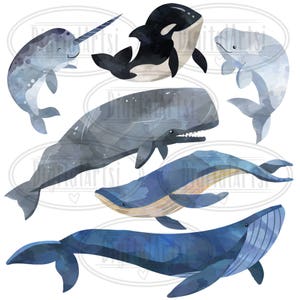 May include: Watercolor illustration of various whale species, including a narwhal, a sperm whale, a humpback whale, a blue whale, and an orca. The whales are depicted in shades of blue, gray, and black, with white accents.