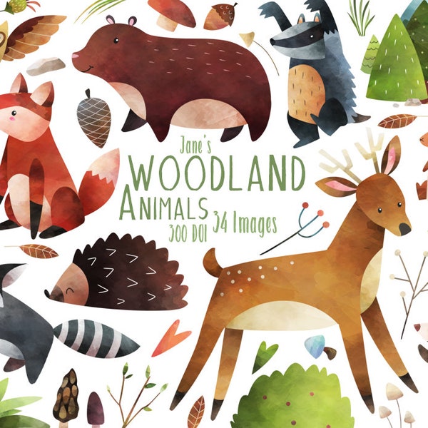Woodland Animals Clipart - Watercolor Forest Animals Clipart - Instant Download - Bear - Fox Clipart - Deer - Squirrel - Badger - Hedgehog
