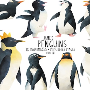 Clipart de pingüinos en acuarela - Descarga de animales árticos - Descarga instantánea - Especies de pingüinos - Poses de pingüinos - Materiales creativos - Libro de cuentos
