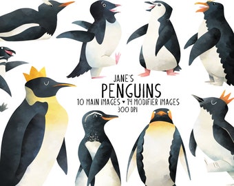 Watercolor Penguins Clipart - Arctic Animals Download - Instant Download - Penguin Species - Penguin Poses - Creative Supplies - Storybook