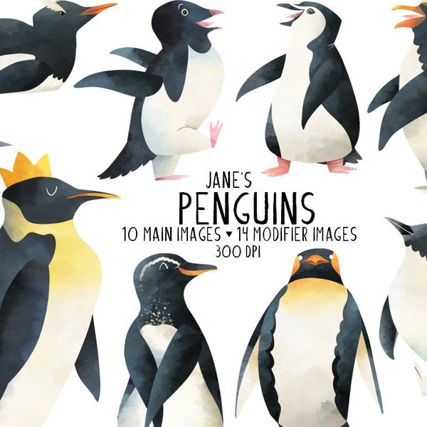 Acuarela Penguins Clipart - Arctic Animals Descargar - Descarga instantánea - Especies de pingüinos - Poses de pingüino - Suministros creativos - Libro de cuentos