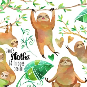 Watercolor Sloths Clipart: Tropical Sloth Download (PNG, 300 DPI)