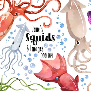 Watercolor Squids Clipart - Squid Download - Instant Download - Sea Creatures - Marine Life - Bubbles - Kraken - Commercial Use