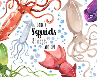 Watercolor Squids Clipart - Squid Download - Instant Download - Sea Creatures - Marine Life - Bubbles - Kraken - Commercial Use