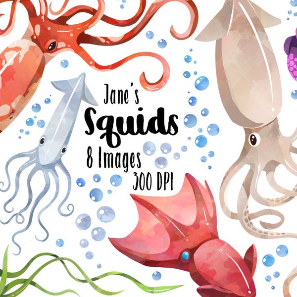 Watercolor Squids Clipart - Squid Download - Instant Download - Sea Creatures - Marine Life - Bubbles - Kraken - Commercial Use