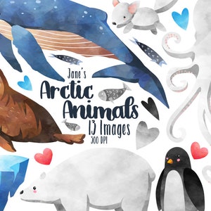 Aquarel pooldieren clipart - Arctic Winter download - Instant Download - aquarel schattige ijsbeer - walrus - pinguïn