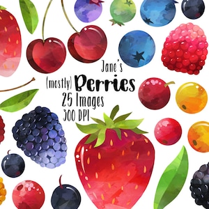 Clipart aquarelle de baies - téléchargement de baies - téléchargement immédiat - aliments sains - fraise - mûre - groseille à maquereau - framboise