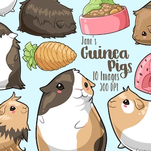 Clipart de conejillos de indias kawaii - Descarga digital - Lindos conejillos de indias - Uso comercial - Dibujados a mano - Hechos por humanos