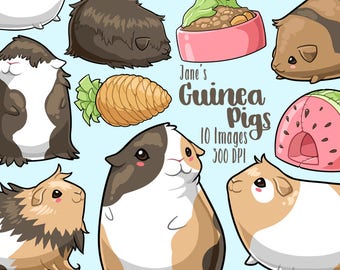 Kawaii Guinea Pigs Clipart - Cute Rodents Download - Cute Guinea Pigs