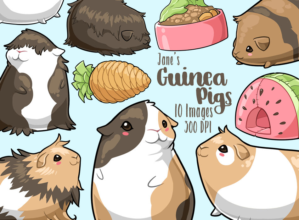 cute-cartoon-guinea-pig-wallpapers