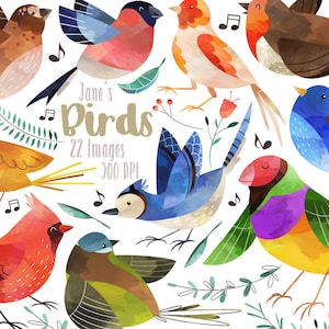 Aquarel vogels clipart - kleine vogel downloaden - instant download - kanarie - vink - blauwe gaai - roodborstje - commercieel gebruik