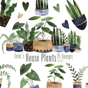 Imágenes prediseñadas de plantas de interior en acuarela - Descarga de jardinería en acuarela - Descarga instantánea - Filadendro - Enredaderas colgantes - Helecho - Planta serpiente
