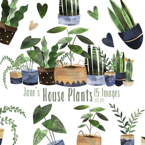 Watercolor House Plants Clipart - Watercolor Gardening Download - Instant Download - Philadendrum - Dangling Vines - Fern - Snake Plant