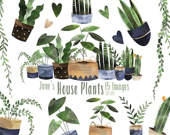 Watercolor House Plants Clipart - Watercolor Gardening Download - Instant Download - Philadendrum - Dangling Vines - Fern - Snake Plant