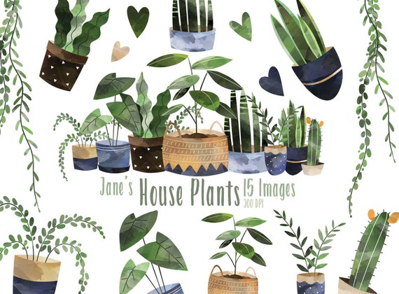 Watercolor House Plants Clipart: Potted Fern, Snake Plant (Digital Download)
