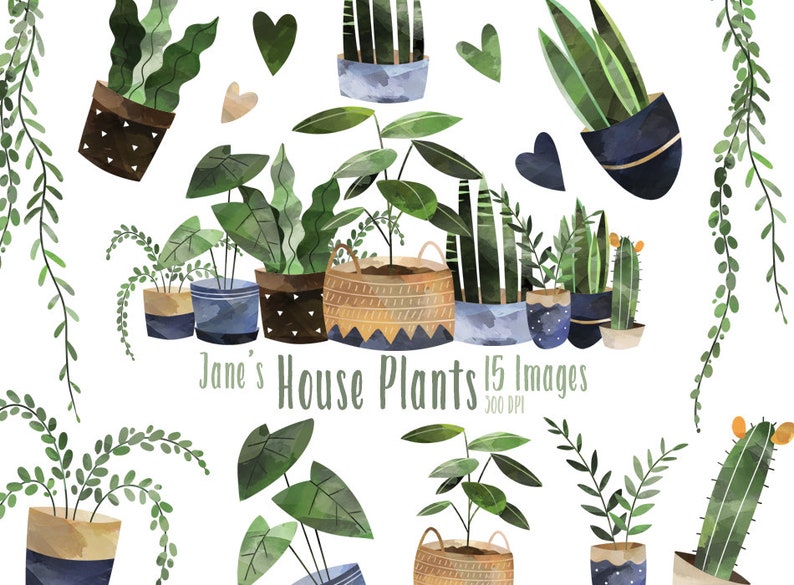 May include: A digital illustration of 15 watercolor houseplants in various pots and planters. The plants are in shades of green and blue, with some featuring brown accents. The text "Jane's House Plants 15 Images 300 DPI" is at the bottom of the image.