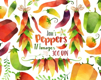 Watercolor Peppers Clipart: Fiesta Spices Graphics (Instant Download)