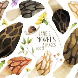 Aquarel morieljes clipart - paddestoel downloaden - Instant Download - foerageren - schimmels - wilde eetbare paddestoelen - hand getrokken - door de mens gemaakt
