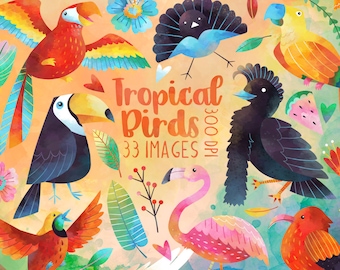 Watercolor Tropical Birds Clipart - Tropical Download - Instant Download - Parrot - Macaw - Umbrellabird - Toucan - Flamingo - Birds