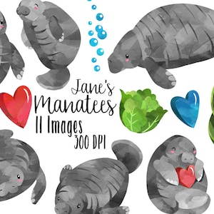 Watercolor Manatees Clipart - Sea Creatures Download - Instant Download - Watercolor Cute Happy Manatees