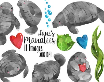 Watercolor Manatees Clipart: Sea Creatures PNG (Digital Download)