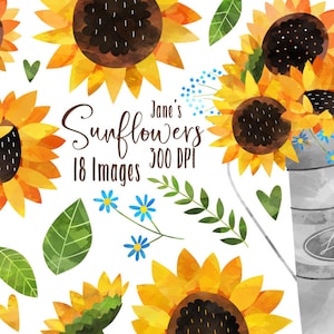 Aquarelle tournesol clipart - fleurs - téléchargement immédiat - été - rustique - américain - floral - jaune - orange - dessiné à la main