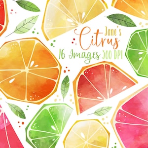 Aquarelle agrumes clipart - nourriture téléchargement - téléchargement immédiat - pamplemousse - orange sanguine - tranche d'orange - citron - citron vert
