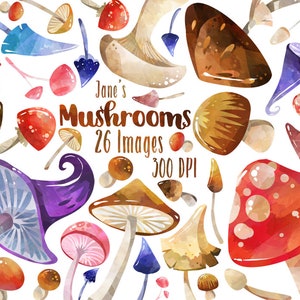 Op de afbeelding: Een verzameling van 26 aquarel illustraties van paddenstoelen in verschillende kleuren en vormen, waaronder rood, bruin, paars en wit. De illustraties zijn op een witte achtergrond en perfect voor digitaal scrapbooken, kaart maken en andere creatieve projecten. Jane's Mushrooms 26 Images 300 DPI