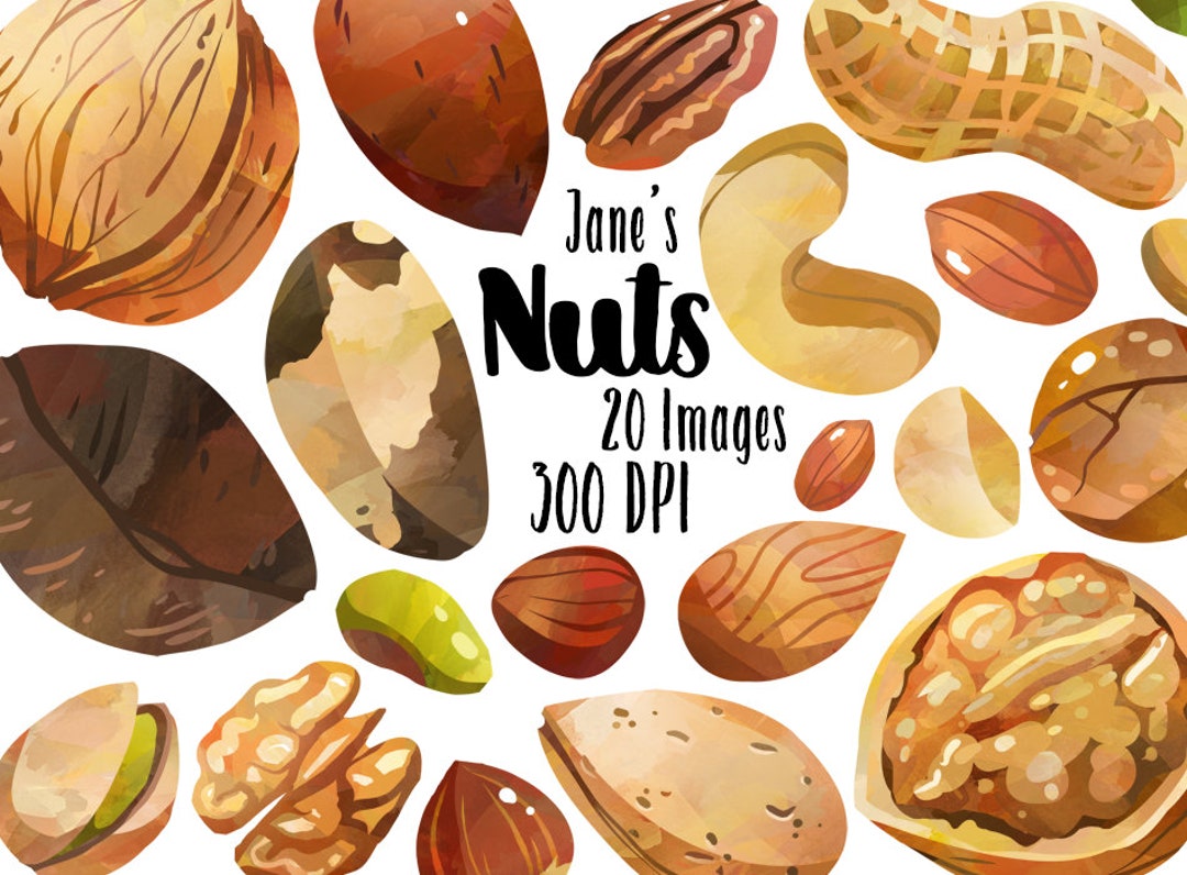 Watercolor Nuts Clipart Nut Variety Download Instant Download Almonds  Walnuts Pistachios Pecans Peanuts Hazelnuts 