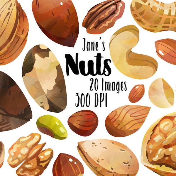 Watercolor Nuts Clipart - Nut Variety Download - Instant Download - Almonds - Walnuts - Pistachios - Pecans - Peanuts - Hazelnuts